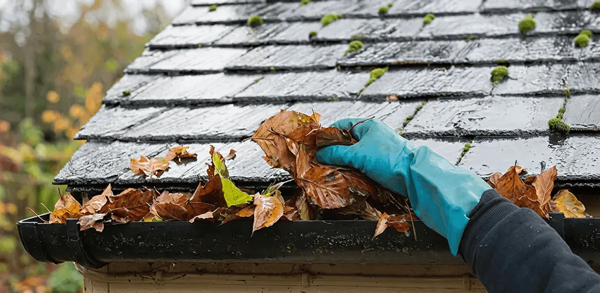 Gutter cleaning technician clearing wet leaves from roof gutters in Rockford, IL